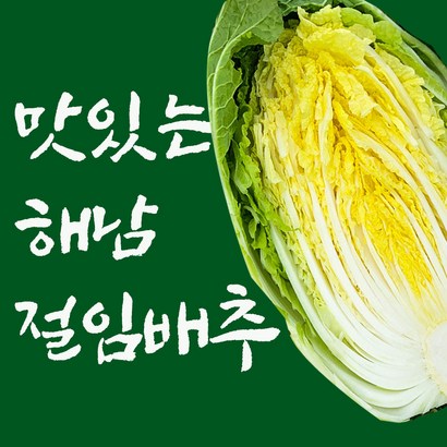 추천 철수네농장 2023 올해 땅끝 해남 절임배추 절인배추 파는곳 산지 예약