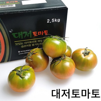 부산 대저토마토 짭짤이 토마토 짭짜리 2