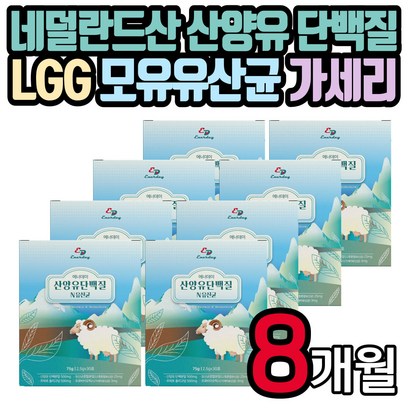 퀄리고트 인증 산양유 단백 분말 모유 유산균 가루 스틱 신 바이오틱스 단백질 프로틴 보충제 b 프로 프리 락토바실러스 가세리 온가족 아이 여성 남성 남자 여자 명절 선물