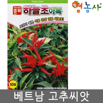 하늘초 베트남 고추씨앗 50립