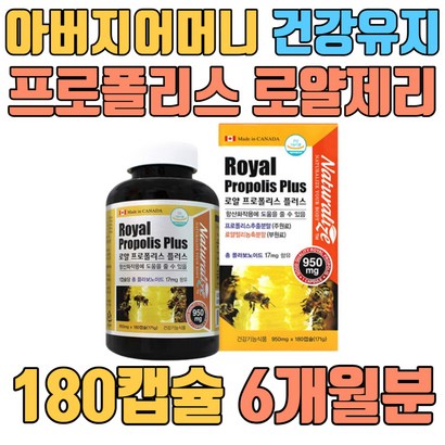 아버지 어머니 겨울 건강유지 프로폴리스 로얄젤리 환절기 시아버지 시어머니 장인어른 어린이 남편 처가집 플라보노이드 네추럴라이즈 Naturaize 직수입 대두유 대두레시틴 밀납 항산화 비타민 무기질 아미노산 프리미엄 분말 캡슐 건강증진