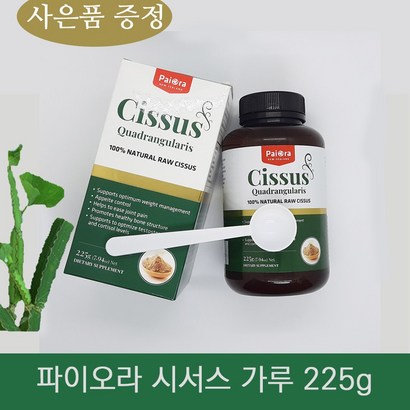 뉴질랜드 파이오라 시서스 추출물 사은품 시져스 씨서스 건강 식품 차 분말 가루 알약