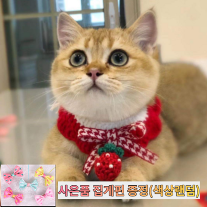 핸드메이드 고양이 케이프 스카프 강아지 애견 턱받이 뜨개 케이프