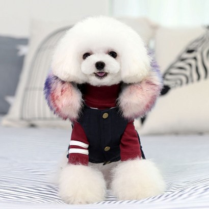 파격인하 제이스 애견겨울옷 강아지야상 강아지패딩 애견옷 애견점퍼