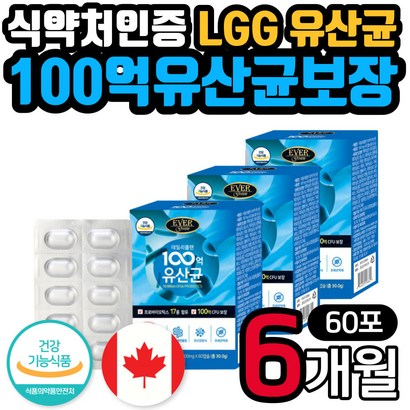 식약처인증 캐나다 100억 신 바이오틱스 유산균 캡슐 피쉬콜라겐 히알루론산 robiotics 락토바실러스 가세리 애시도필러스 거래처 직장인 학생 남성 여성 장 건강 부모님 선물