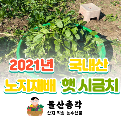 2021 해풍 맞은 여수 시금치 리뷰후기