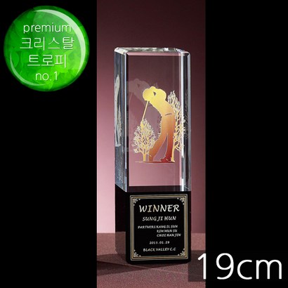 트로피 우승트로피 골프트로피 이글패 싱글패 홀인원패 골프상패 TF6-10503 리뷰후기
