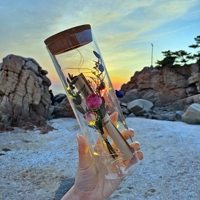 라알레그리아 특별한 편지지 꽃 ED 특이한 유리병편지 생일 크리스마스 선물 여자친구 결혼 100일 기념일 감동 이벤트 행사 명절 추천 홈파티
