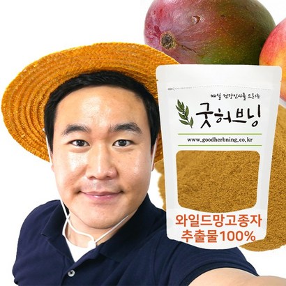 와일드망고 씨앗 가루 분말 종자 추출물 굿허브닝