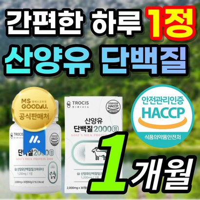 식약처 인증 네덜란드산 고함량 산양유 신양유 사냥유 고트밀크 우유 단백질 담백질 농축 분말 가루 정 알약 wi 분리 유청 단백 밀크 칼슘 엘 로이신 발린 이소로이신 선물 추천