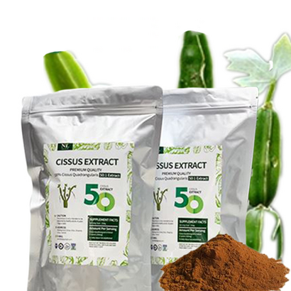 에넬 시서스가루 고농축 24개월분 CISSUS EXTRACT