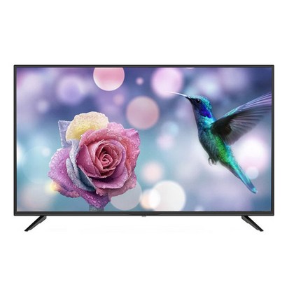 TN 라이트 4K FHD ED TV