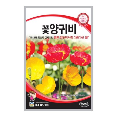 모칸도 세계 꽃양귀비 꽃씨 2000립