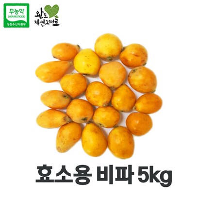 완도 효소용 비파열매 국내산 A 리뷰 후기
