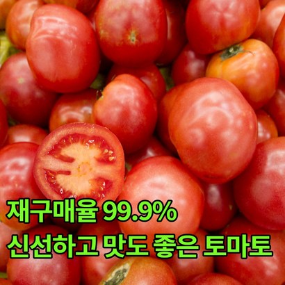 따온날GAP 완숙찰토마토 2 농가직배송 리뷰후기