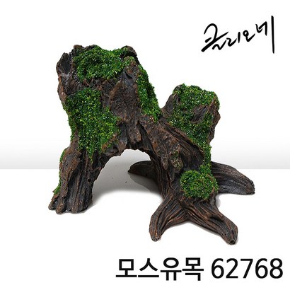 아이사이언스에듀 모스유목 어항유목 구피은신처 유목