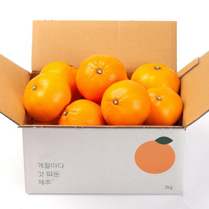 깨비농원 제주 천혜향