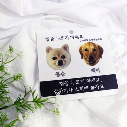 싸인토리 맞춤 제작 포토 펫 캣 반려 동물 현관 도어사인 아크릴 셀프 인테리어 디자인 디자인문패