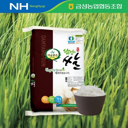 장터할매 금성농협 무농약 대숲맑은 담양 쌀