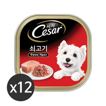 시저 강아지 캔