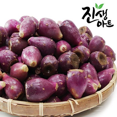 진생마트 제주도농장 제철수확! 백년초생과