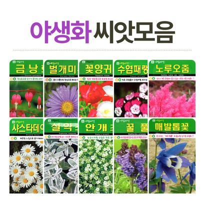 화분월드 야생화 씨앗