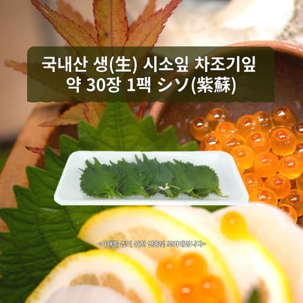 미트팬트리 국내산 생(生) 시소잎 차조기잎 약 25장 1팩 シソ(紫蘇), 1개