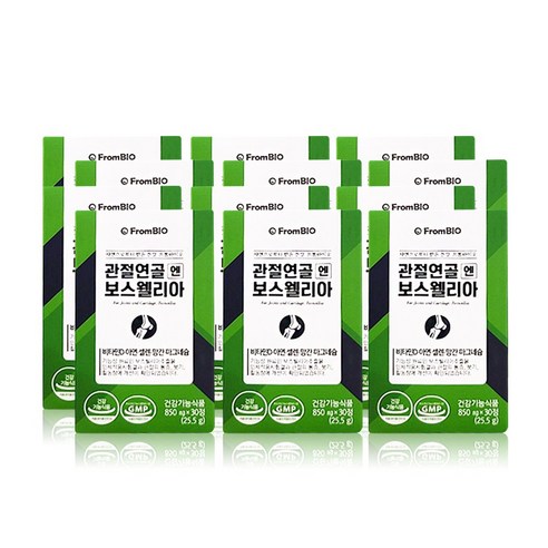 프롬바이오 이병헌의 관절연골엔 보스웰리아 12박스/6개월 리뷰후기