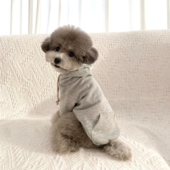 그루밍독 반려견 어반 캐주얼 무지 후드티, 2XL, 그레이, 1개