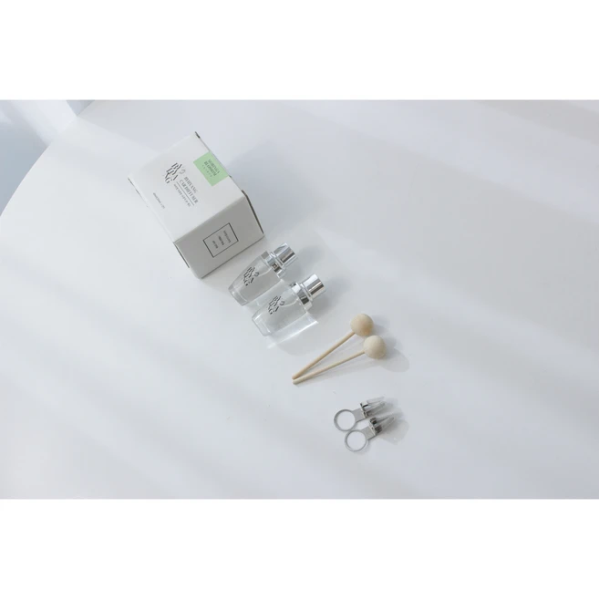 바이향 차량용 송풍구 디퓨저 20ml, 스카이오션, 2개