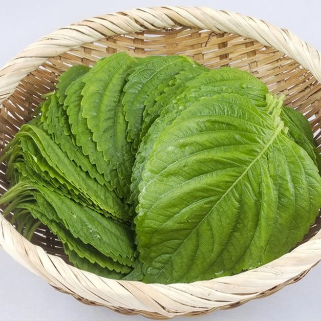 딜픽 국내산 깻잎 1kg내외, 없음, 1kg, 1개