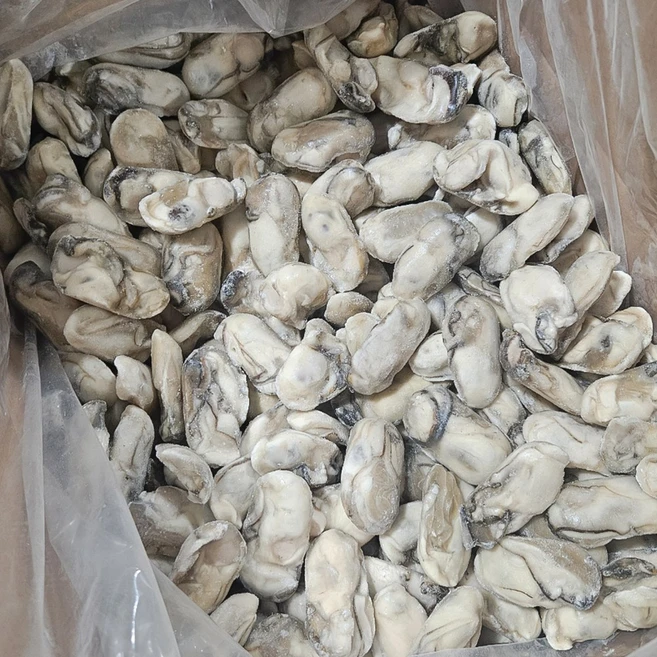 24년 100% 통영산 최상급 냉동굴 산지직송, 1개, 냉동 굴 1kg