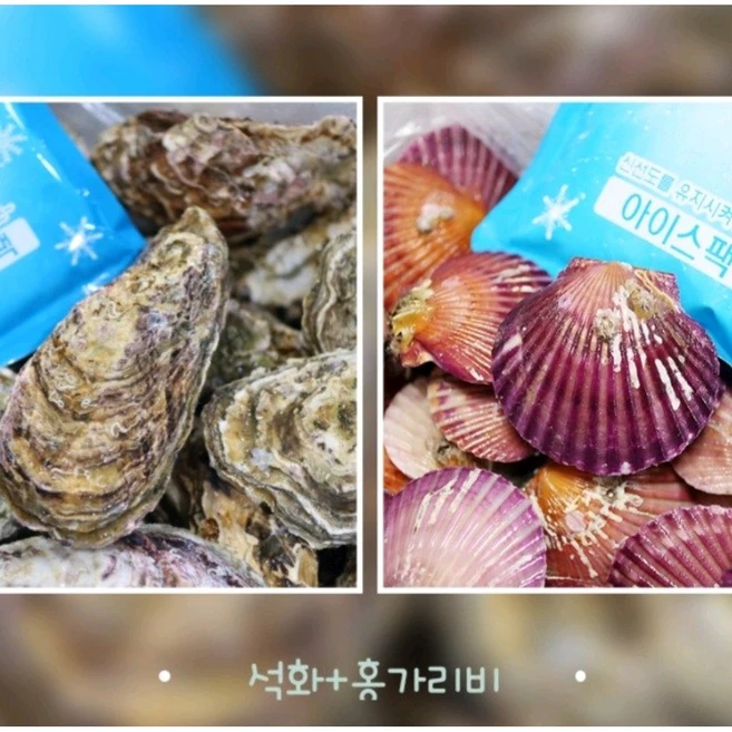 통영 성우수산 산지직송 깨끗한 프리미엄 세척 석화+홍가리비 세트상품 완벽세척, 석화+가리비, 1세트, 5kg+2kg