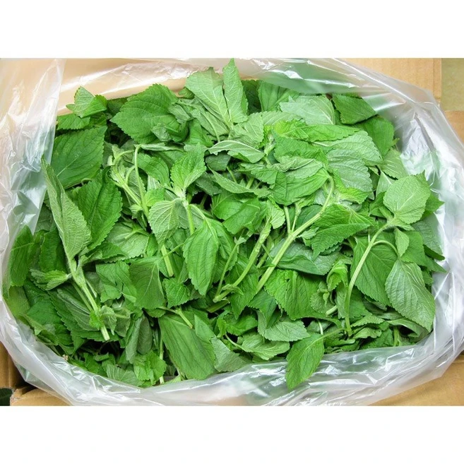 믿을 수 있는 우리 농산물 깻잎순 순바라 1Kg내외 이강산닷컴, 1개