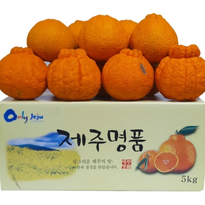 15birx 초고당도 선별 제주 한라봉, 1박스, 5kg(중과)