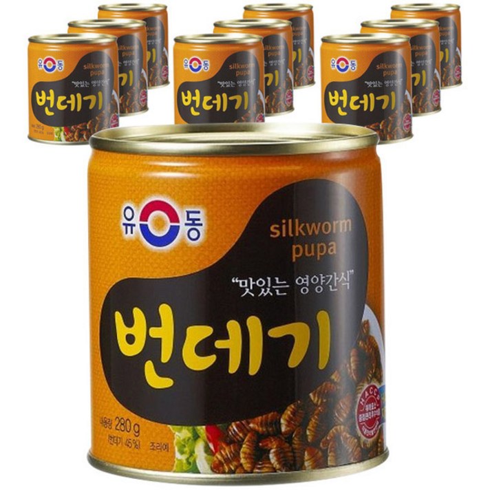 유동 번데기, 280g, 10캔