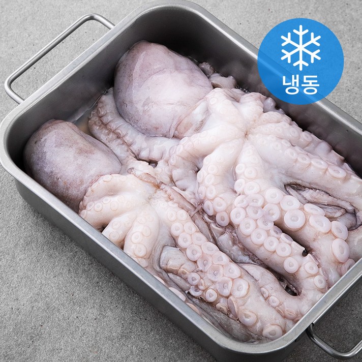 비비수산 서해안 통낙지 2~4미 (냉동), 1kg, 1개