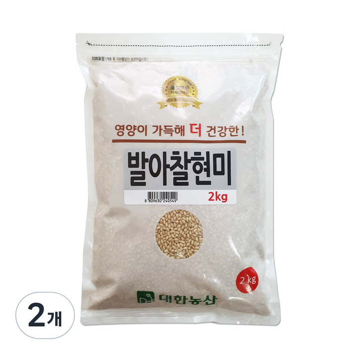 대한농산 발아찰현미, 2kg, 2개