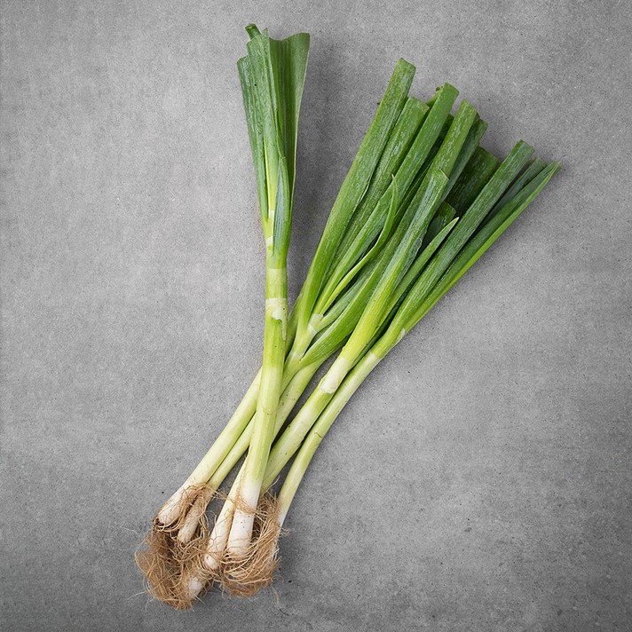 유기농 흙대파, 800g, 1봉