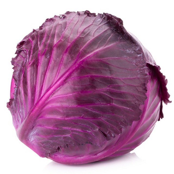 적채 1통(약1kg) 붉은꽃 양배추 가락시장 직송