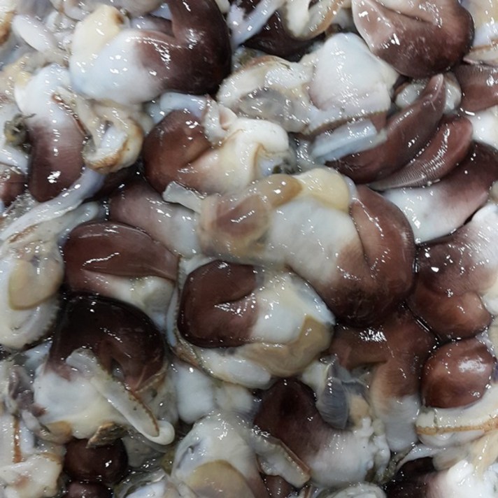 냉동 여수 특품 새조개 2.5kg(실중량 500g) 내장제거 완전 손질 산지직송
