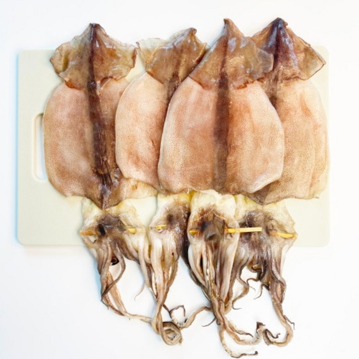 반건조오징어 건조 마른 파품 피데기 반건오징어 10마리 동해안 속초 냉동 피대기, 대 10마리(1.2kg내외)