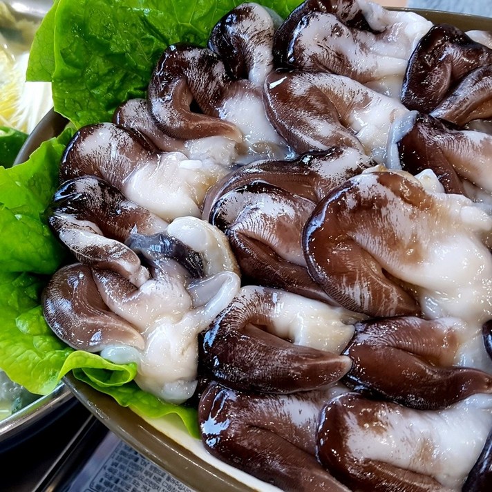 당일수확 여수자연산 손질새조개, 여수 자연산 손질새조개 500g