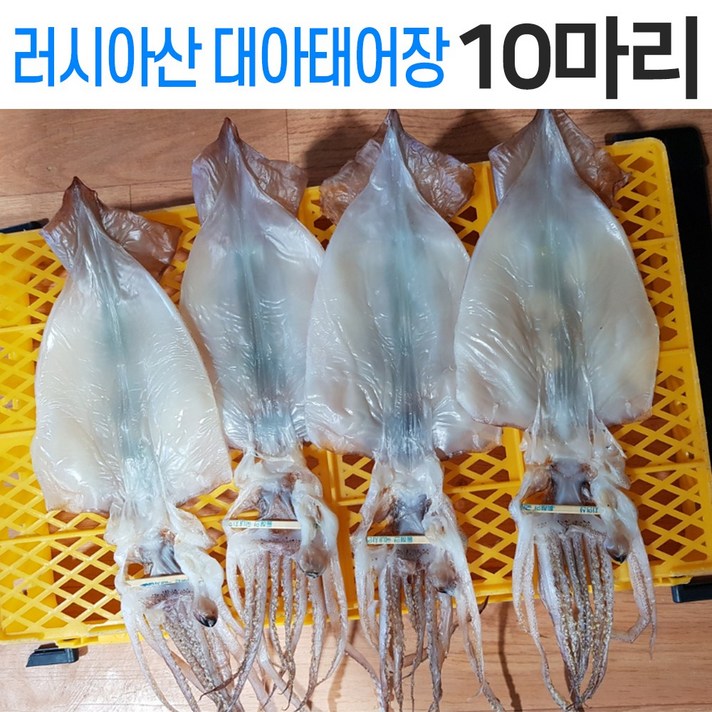 러시아산 대화퇴어장 반건조오징어 10미 버터구이 다양한요리, 러시아산 10마리, 앵치450-500g