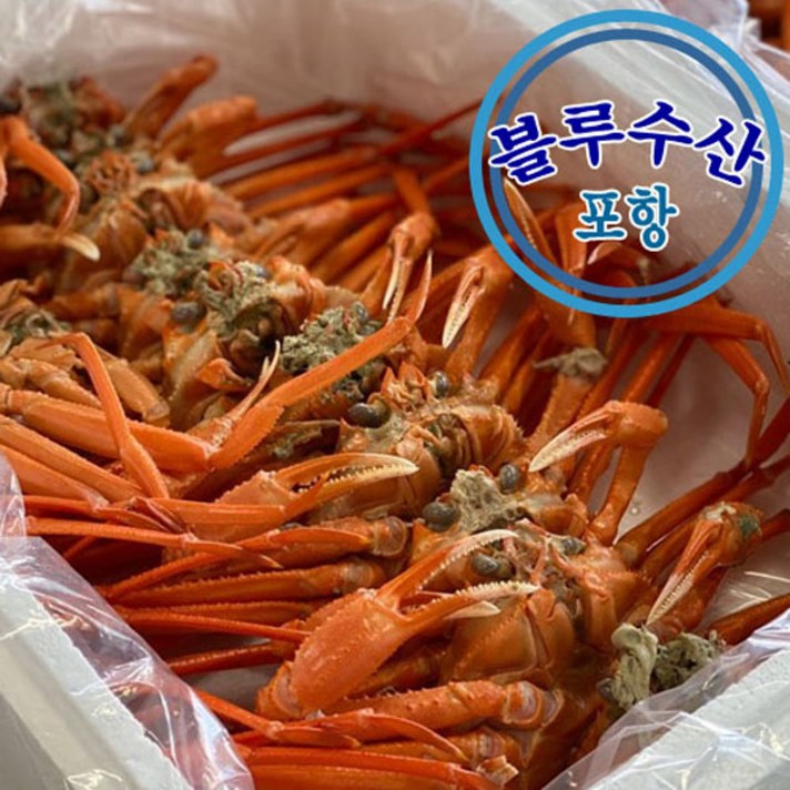 블루수산 자숙 홍게 육수용-다리빼먹기10마리내외/ 몸통40%이하 다리70%내외, 육수용-다리빼먹기/10마리