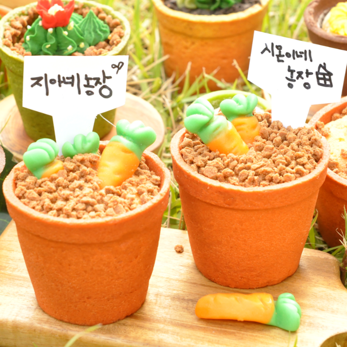 화분까지 먹는 당근젤리 미니 수제 컵 케이크 만들기 키트 DIY, 100g, 1개