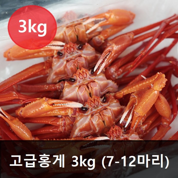 홍게 명품 3kg 대(5~7마리내외), 생물배송
