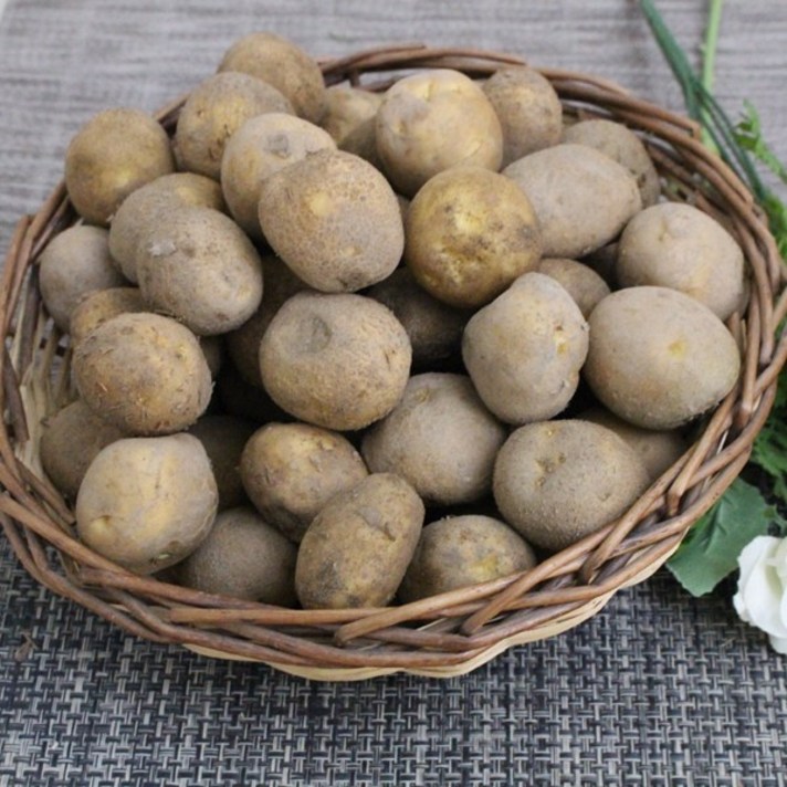 조림용감자 20kg /국내산/자연대로팜웨이, 감자(조림)20kg