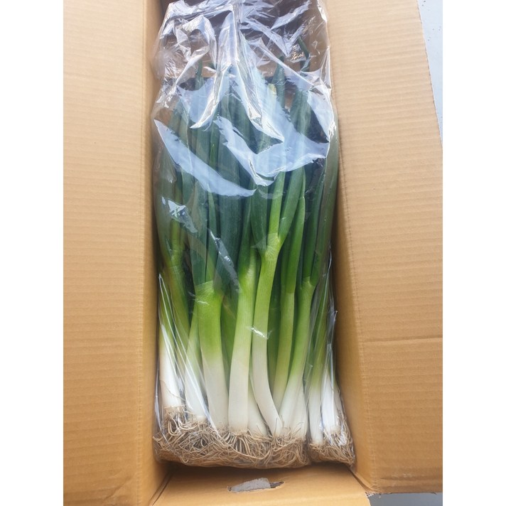 다솜푸드 국내산 흙대파 3kg (1박스)