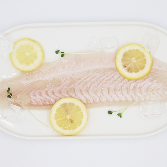 완도산 두툼한 광어필렛 횟감, 1팩, 900g